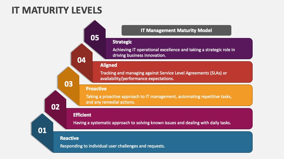 IT Maturity levels graphic